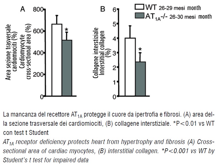 Figura 2