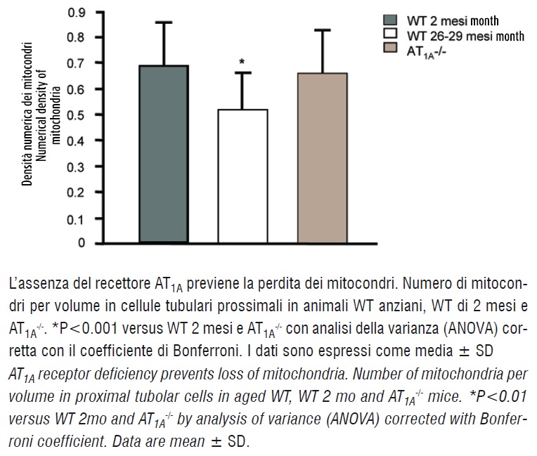 Figura 3