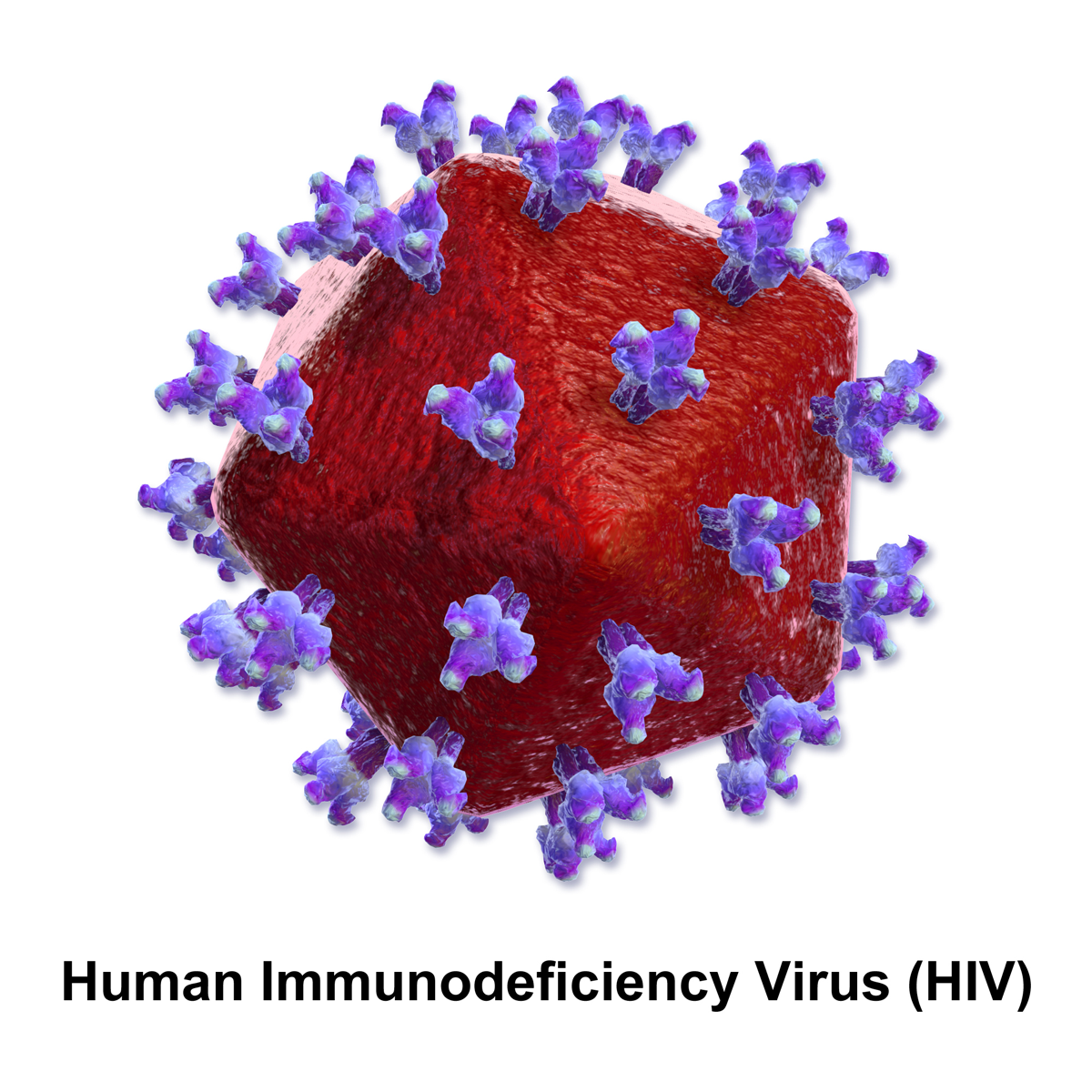 La psicologia dell'HIV - immagine del virus
