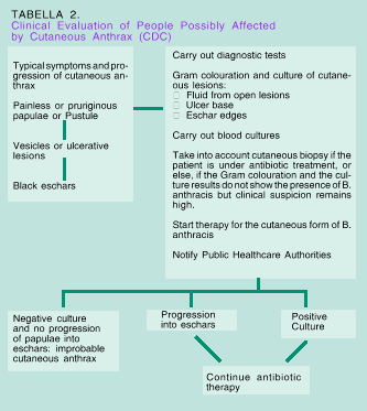 Bioterrorismo schema 2
