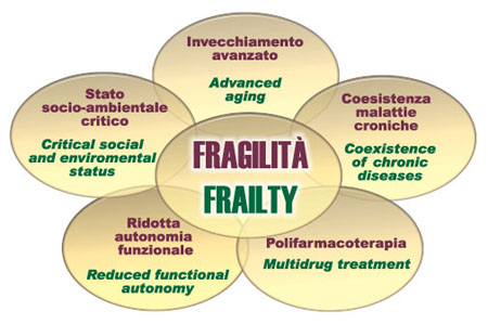 Figura 2 - L’anziano fragile: i domini della fragilità.