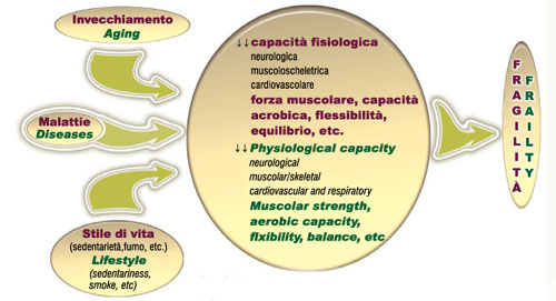 Figura 4 - Fattori intrinseci ed estrinseci della fragilità.